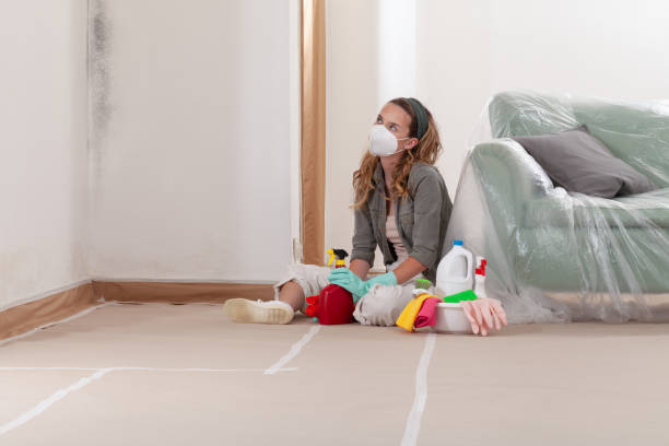 Reliable Crawl Space Mold Removal contractor in Auburn, WA by WQB Mold Removal